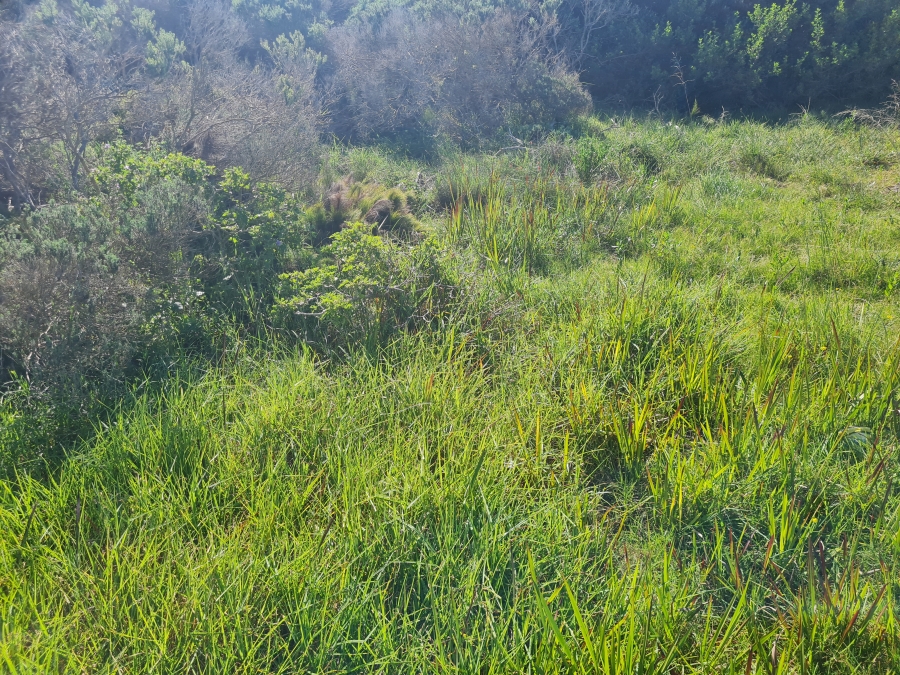 0 Bedroom Property for Sale in Paradise Beach Eastern Cape